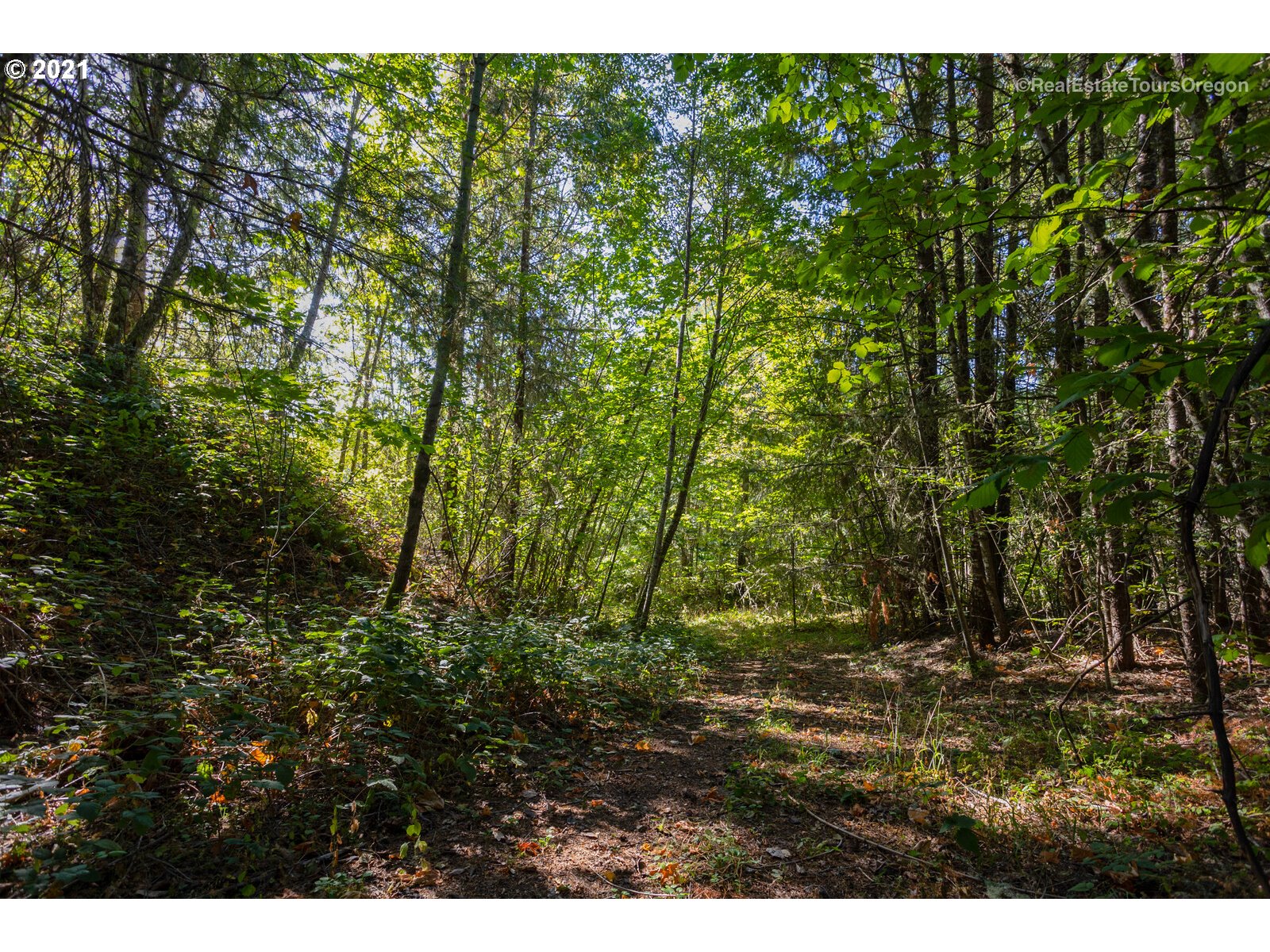 Southwest Carpenter Creek Road Forest Grove, OR 97116 - Photo 6 of 18 a view of outdoor space and yard