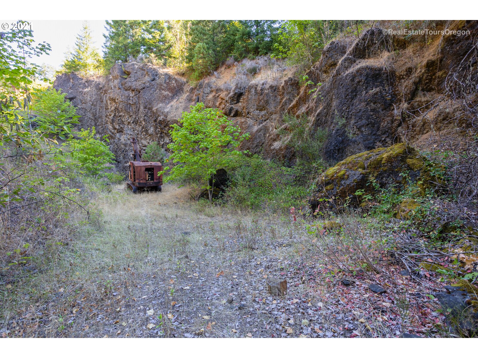 Southwest Carpenter Creek Road Forest Grove, OR 97116 - Photo 10 of 18 a view of a dry yard with trees