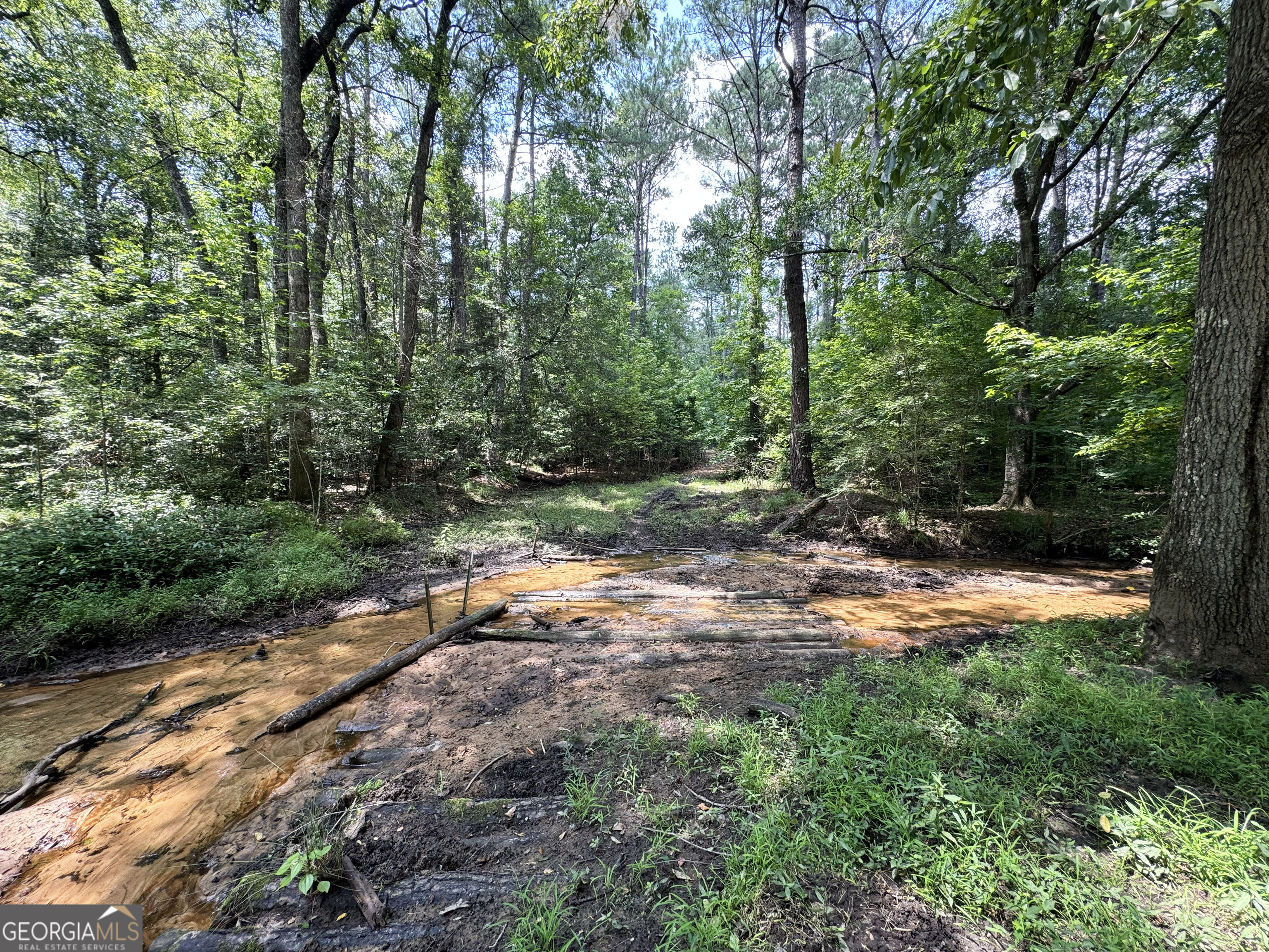 Tbd Tbd Wooten Road Cuthbert, GA 39840 - Photo 40 of 71