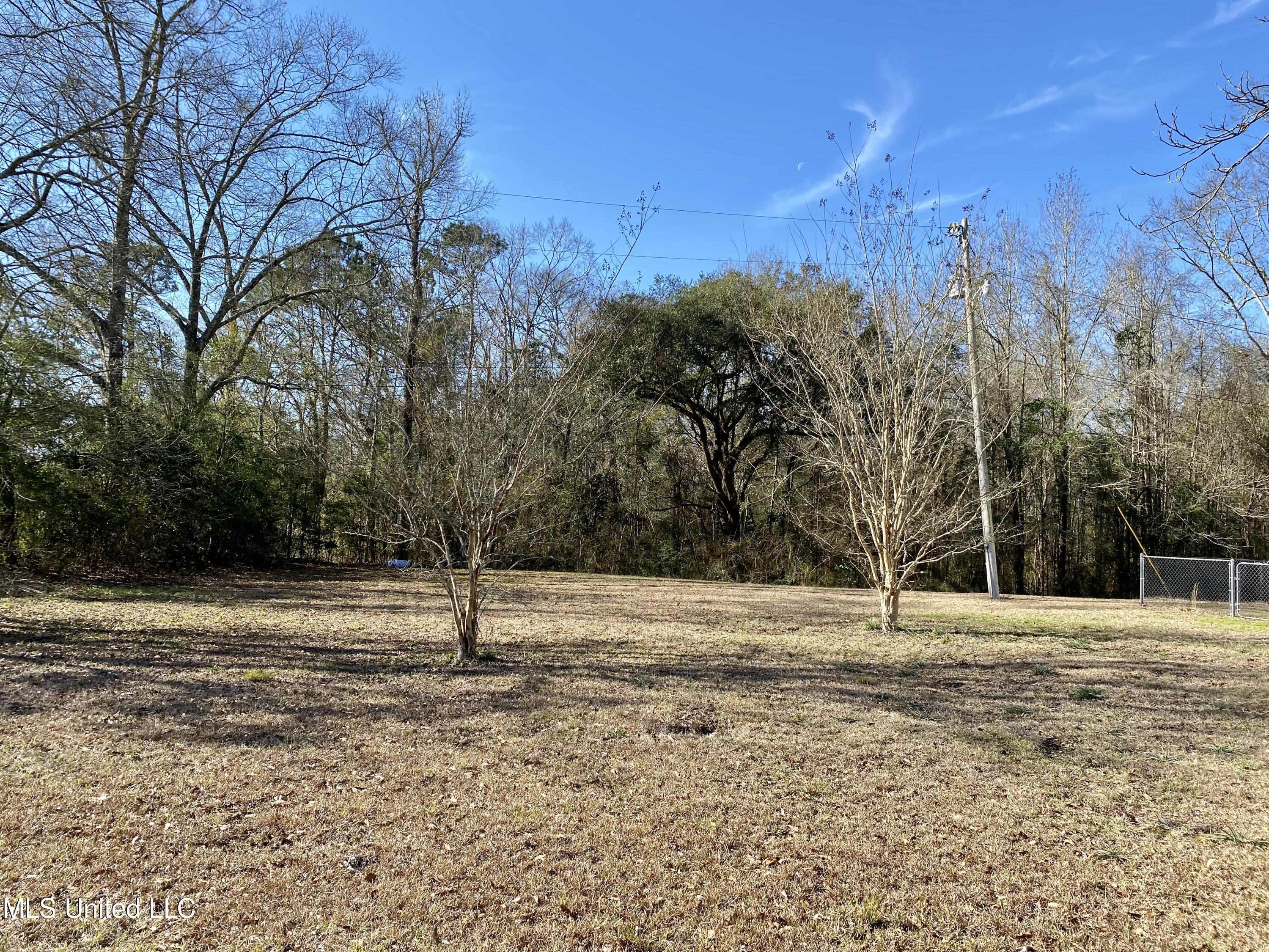 783 Rock Ranch Road Carriere, MS 39426 - Photo 23 of 29 15