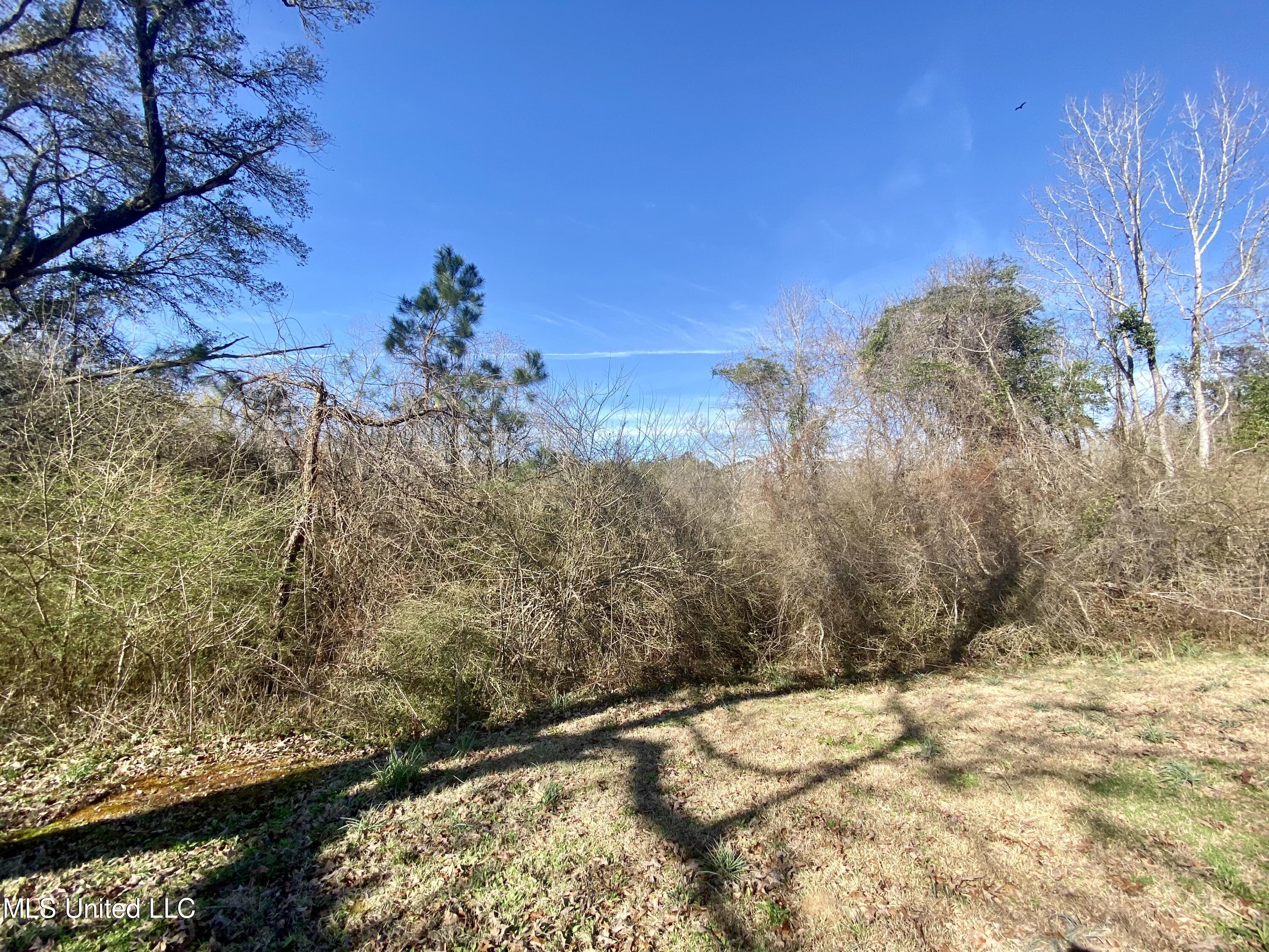 783 Rock Ranch Road Carriere, MS 39426 - Photo 24 of 29 22