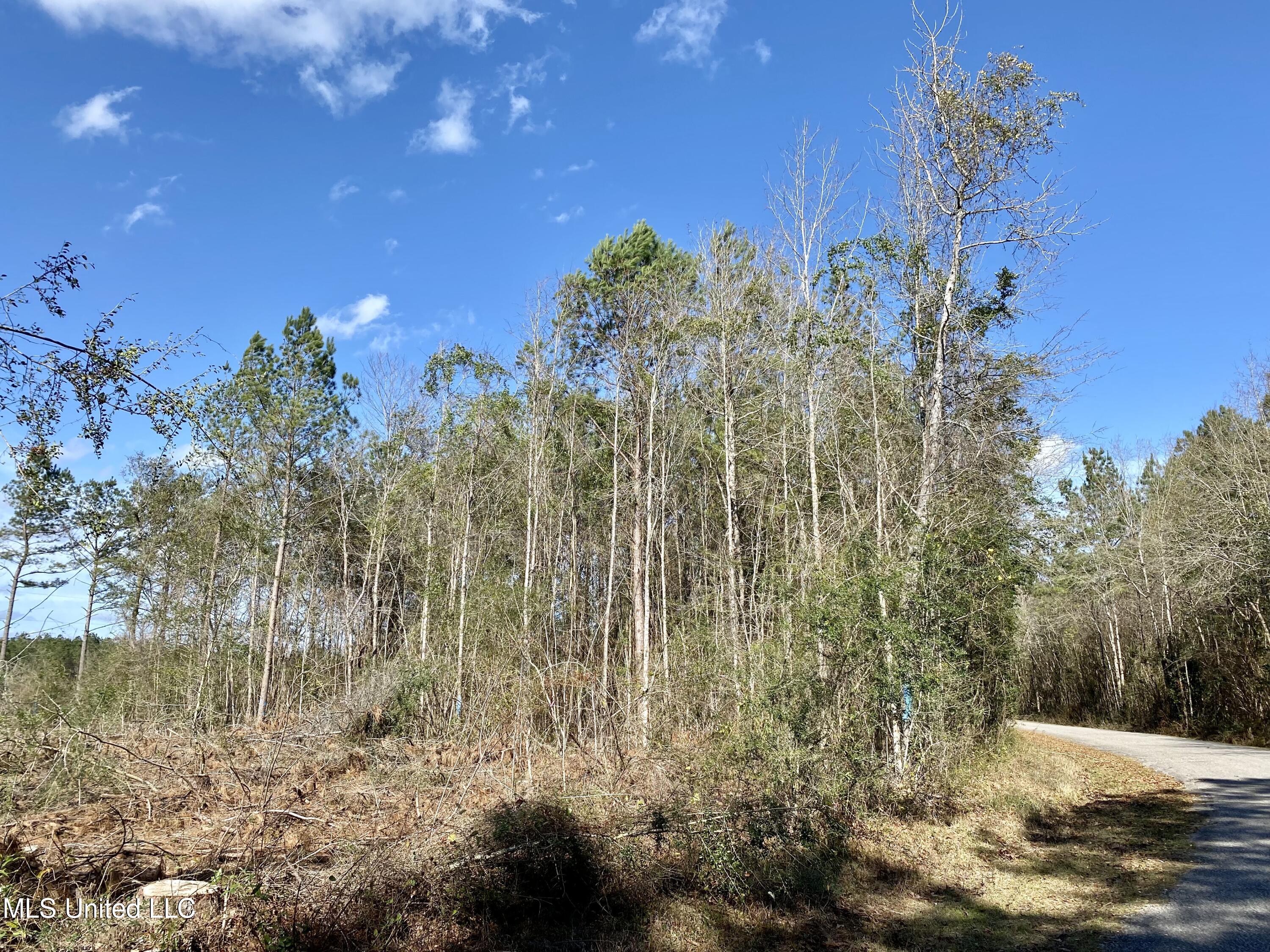 783 Rock Ranch Road Carriere, MS 39426 - Photo 25 of 29 26