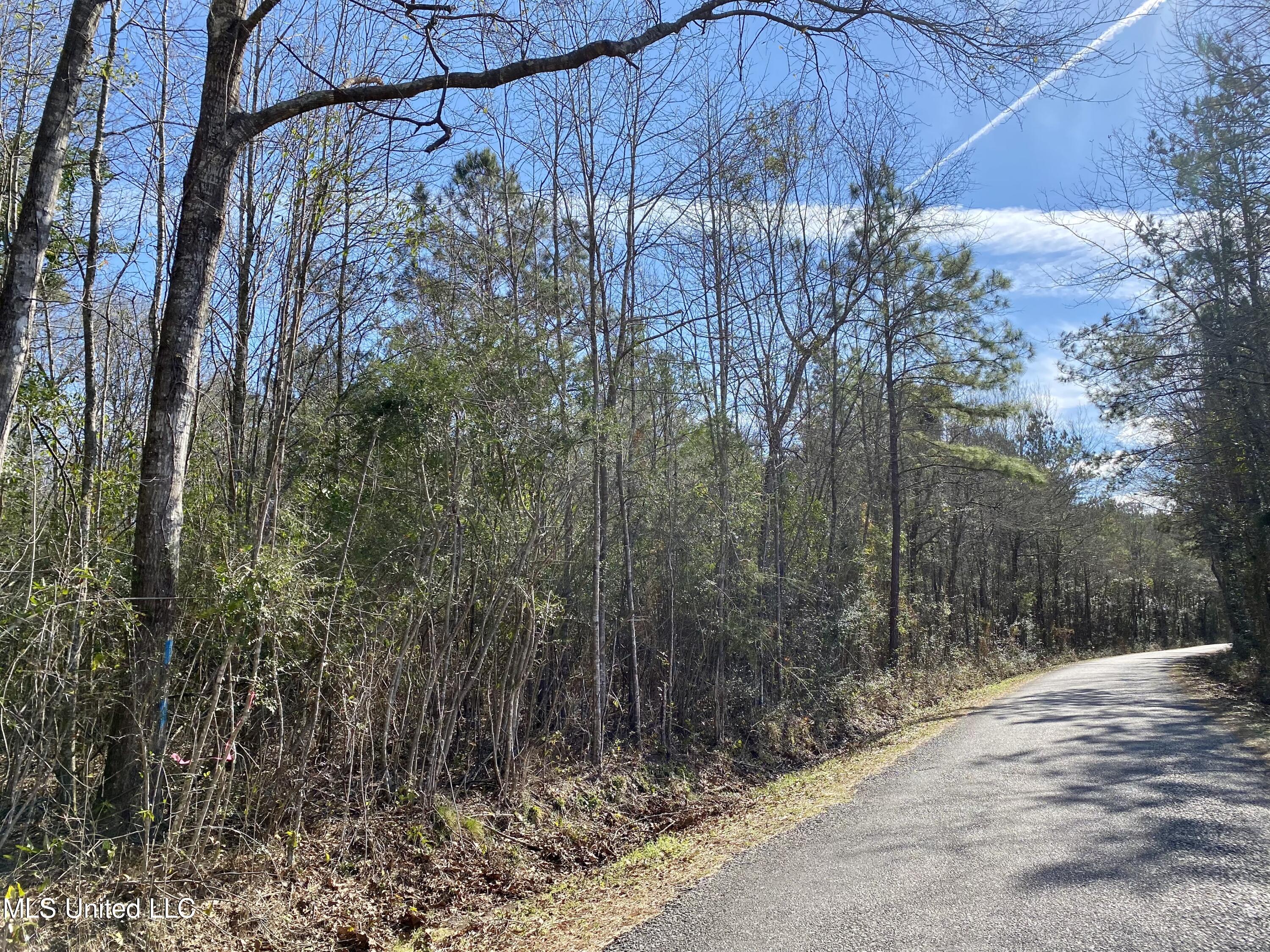 783 Rock Ranch Road Carriere, MS 39426 - Photo 29 of 29 30