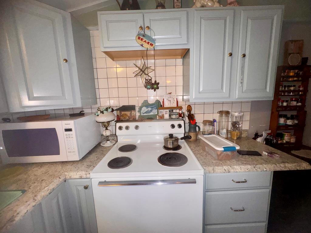 7252 County Road 49 Slocomb, AL 36375 - Photo 64 of 75