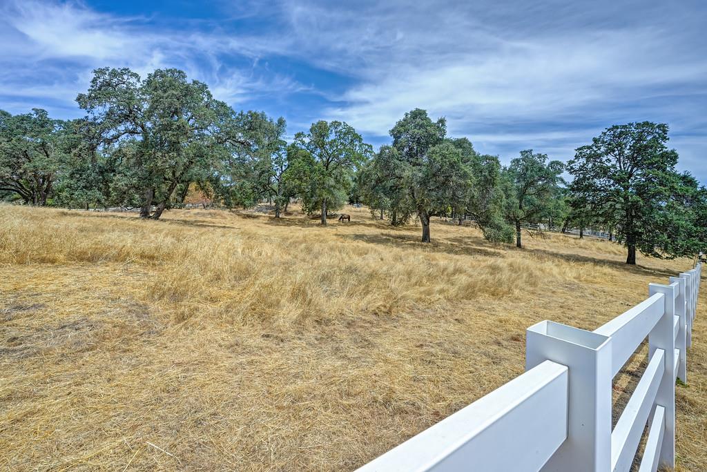 5551 Saddlehorn Road Shingle Springs, CA 95682 - Photo 9 of 48