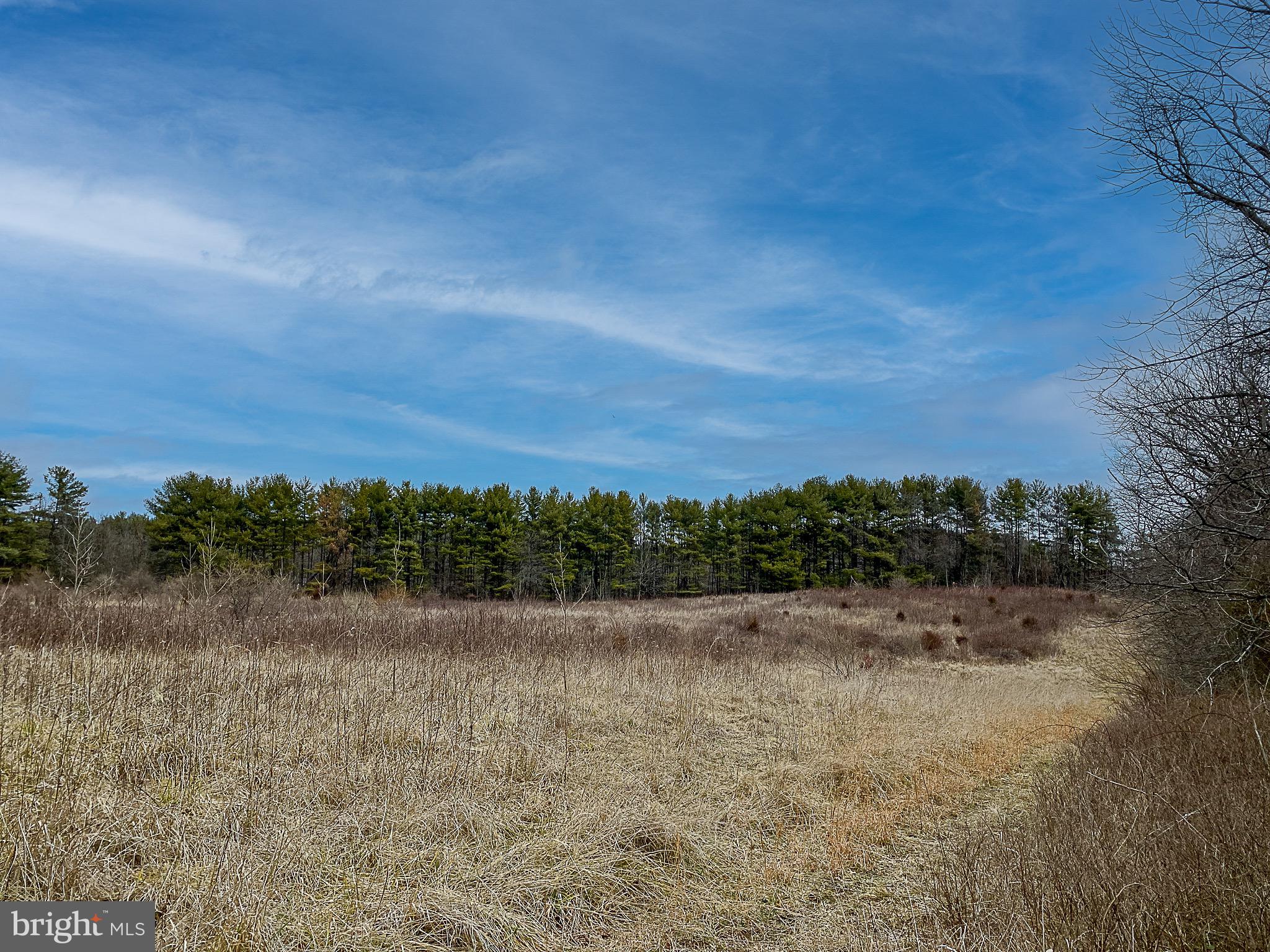 Simmons Road Purcellville, VA 20132 - Photo 6 of 7 Gallery Image 6