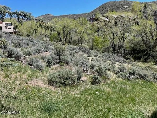 a view of a forest with mountains in the background