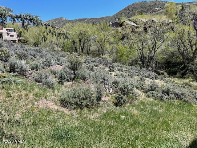 360 Singletree Road Edwards, CO 81632 - Photo 1 of 1 a view of a forest with mountains in the background