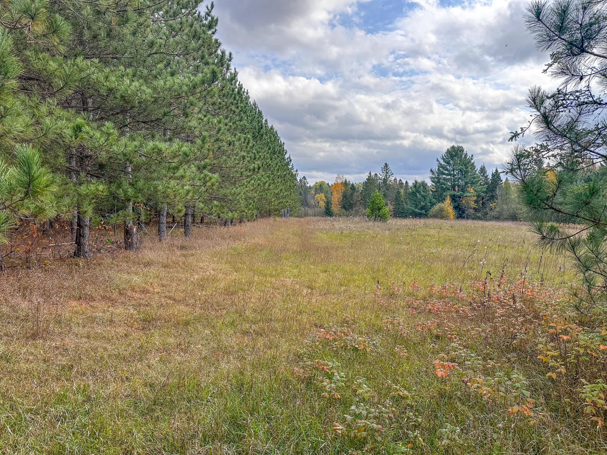 N10498 Sailor Lake Road Phillips, WI 54555 - Photo 79 of 95 Gallery Image 79