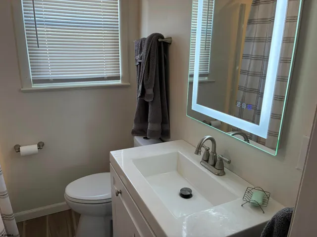 a bathroom with a sink and a toilet