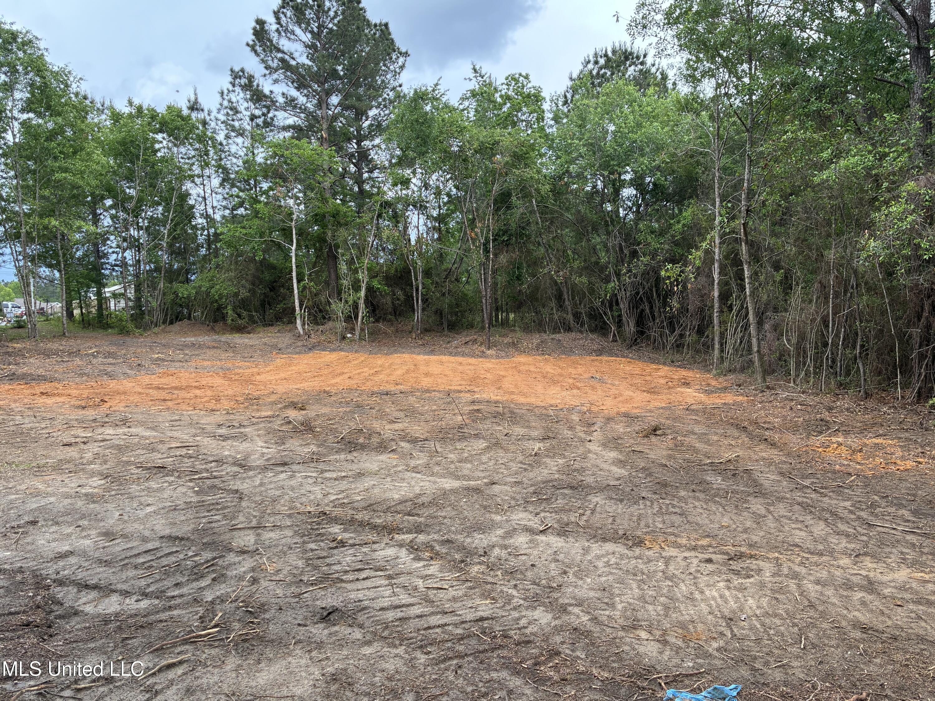 Lot 2 West Wortham Road Saucier, MS 39574 - Photo 9 of 9 IMG_4166