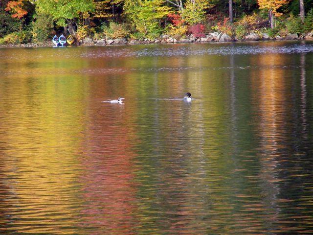 34 Hunter Cove Road, Unit 3 Rangeley, ME 04970 - Photo 31 of 32 Photo