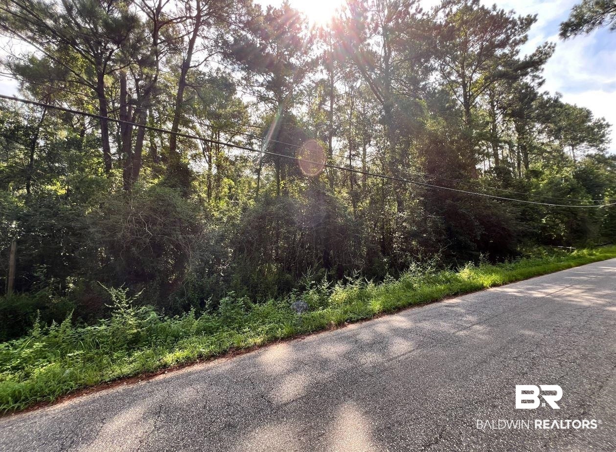 2420 Anton Street Mobile, AL 36612 - Photo 2 of 4 View of road