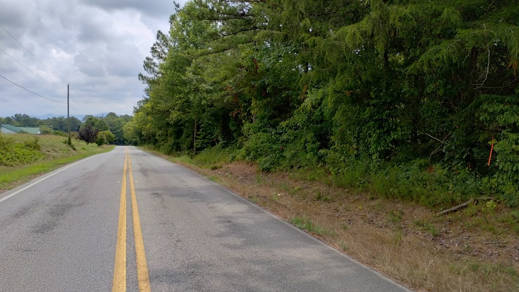 10 Ledford Road Cohutta, GA 30710 - Photo 2 of 7