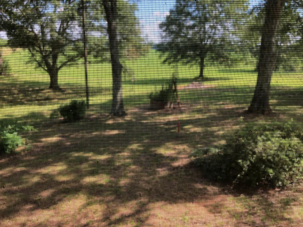 2105 Wardlaw Road McComb, MS 39648 - Photo 11 of 13 Photo 11