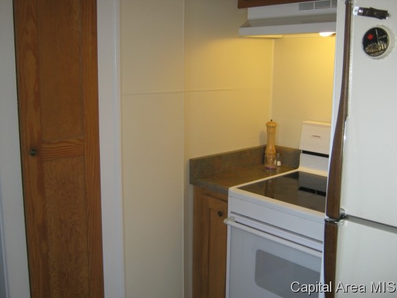 208 South English Avenue Springfield, IL 62704 - Photo 11 of 23 Gallery Image 11