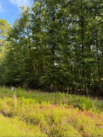 $99,000 | 1042 Millies Way Drive, Moncks Corner, SC 29461