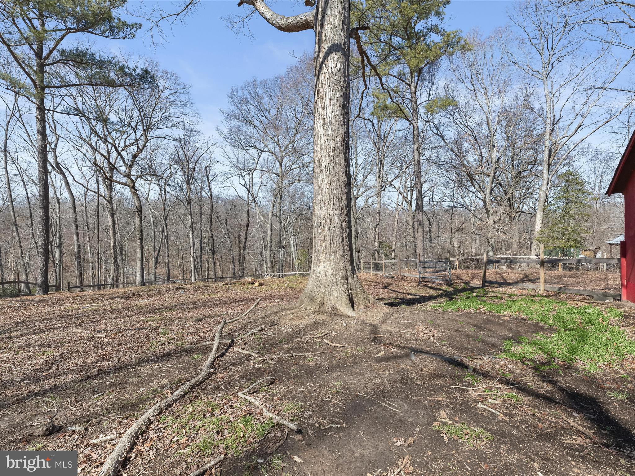 1970 Lower Marlboro Road Huntingtown, MD 20639 - Photo 61 of 81 a view of dirt yard with a large tree