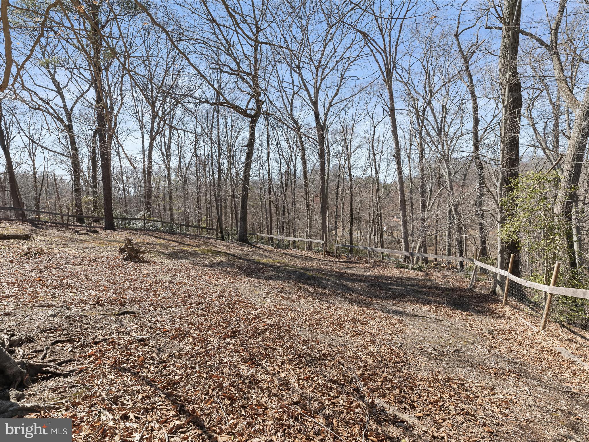 1970 Lower Marlboro Road Huntingtown, MD 20639 - Photo 69 of 81 a view of a backyard with large trees