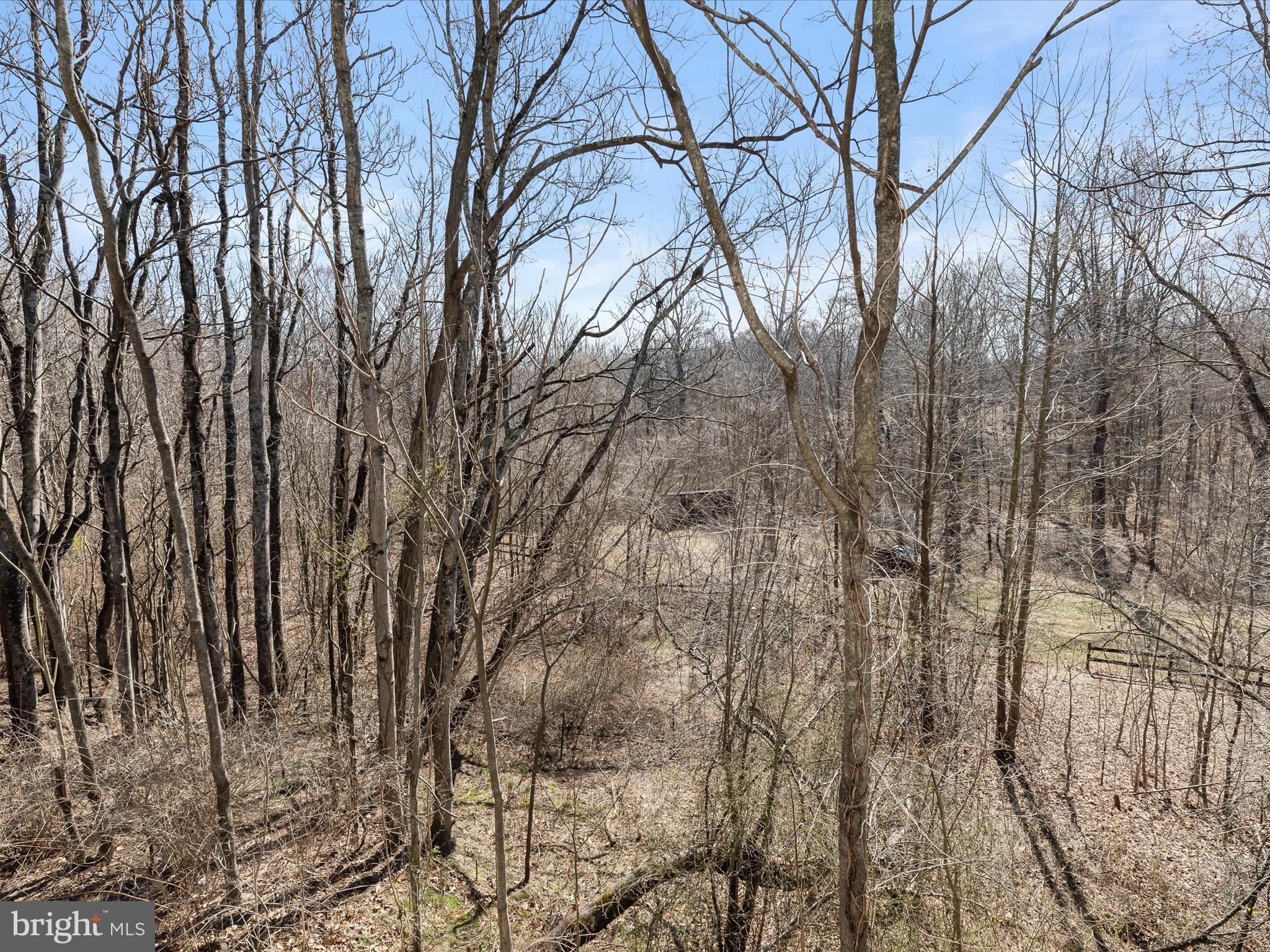 1970 Lower Marlboro Road Huntingtown, MD 20639 - Photo 71 of 81 a view of a yard