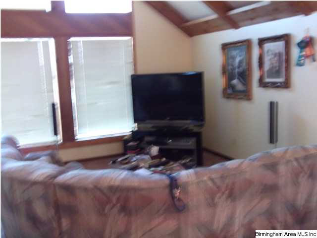 76 Shores Camp Road Adger, AL 35006 - Photo 7 of 13