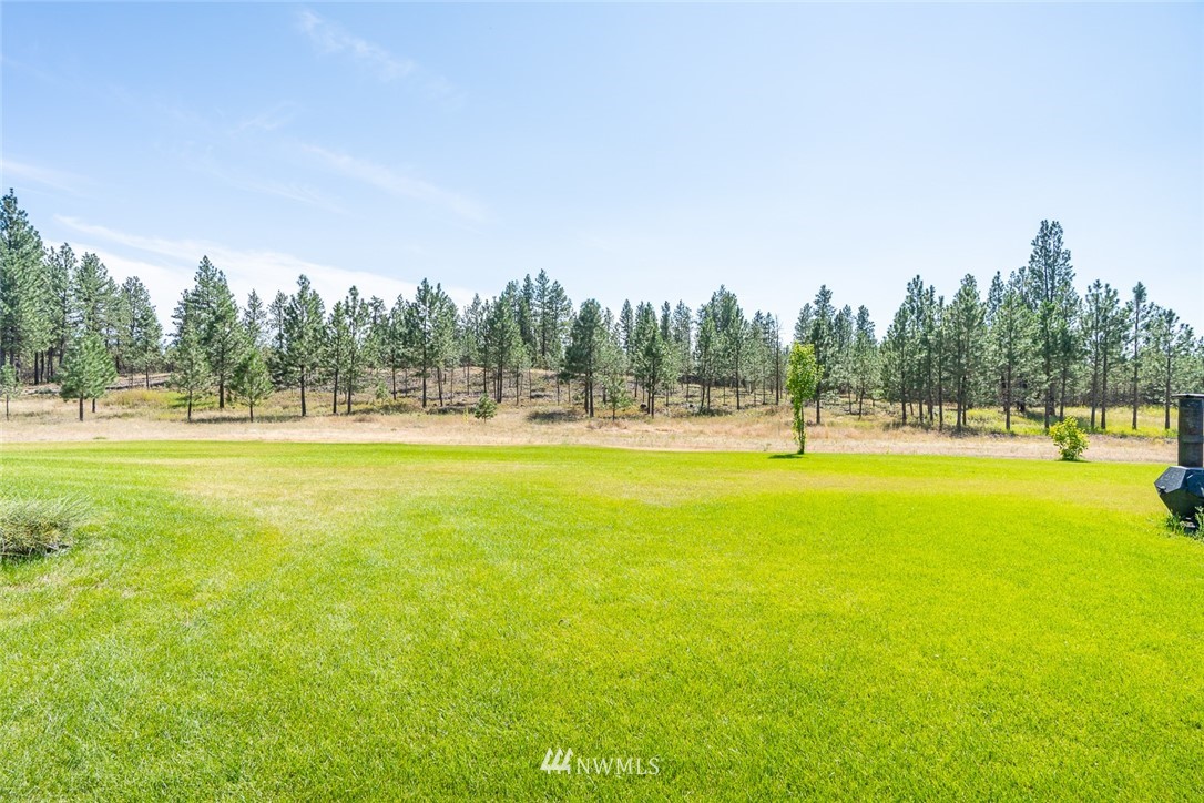 19922 South Smythe Road Spangle, WA 99031 - Photo 33 of 37 a swimming pool with lawn chairs and large trees