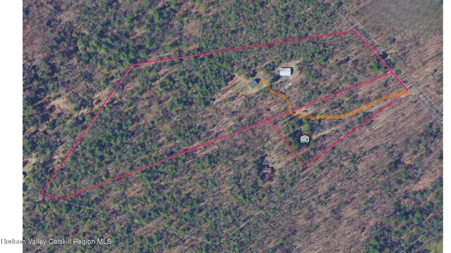 a close up of a plant