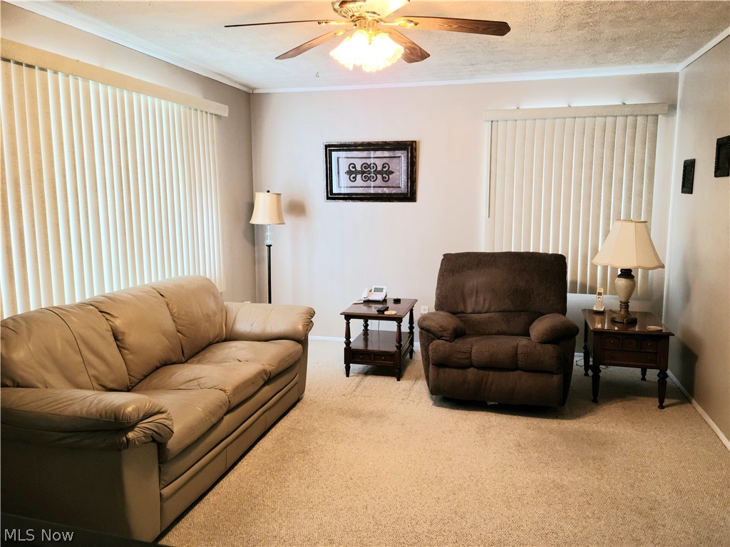 444 Spring Street Struthers, OH 44471 - Photo 5 of 22 Gallery Image 5