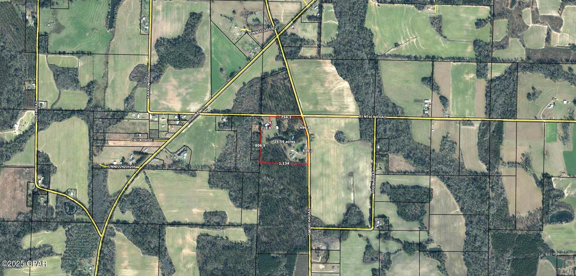 4165 Smokey Road Cottondale, FL 32431 - Photo 98 of 99