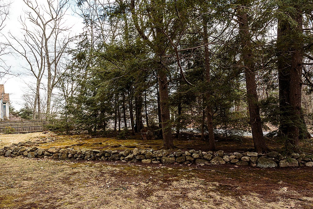 30 Munroe Road Lexington, MA 02421 - Photo 26 of 29 a view of outdoor space with trees