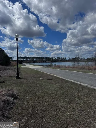 $39,500 | Lot 2 Thompsons Level Road, Lyons, GA 30436