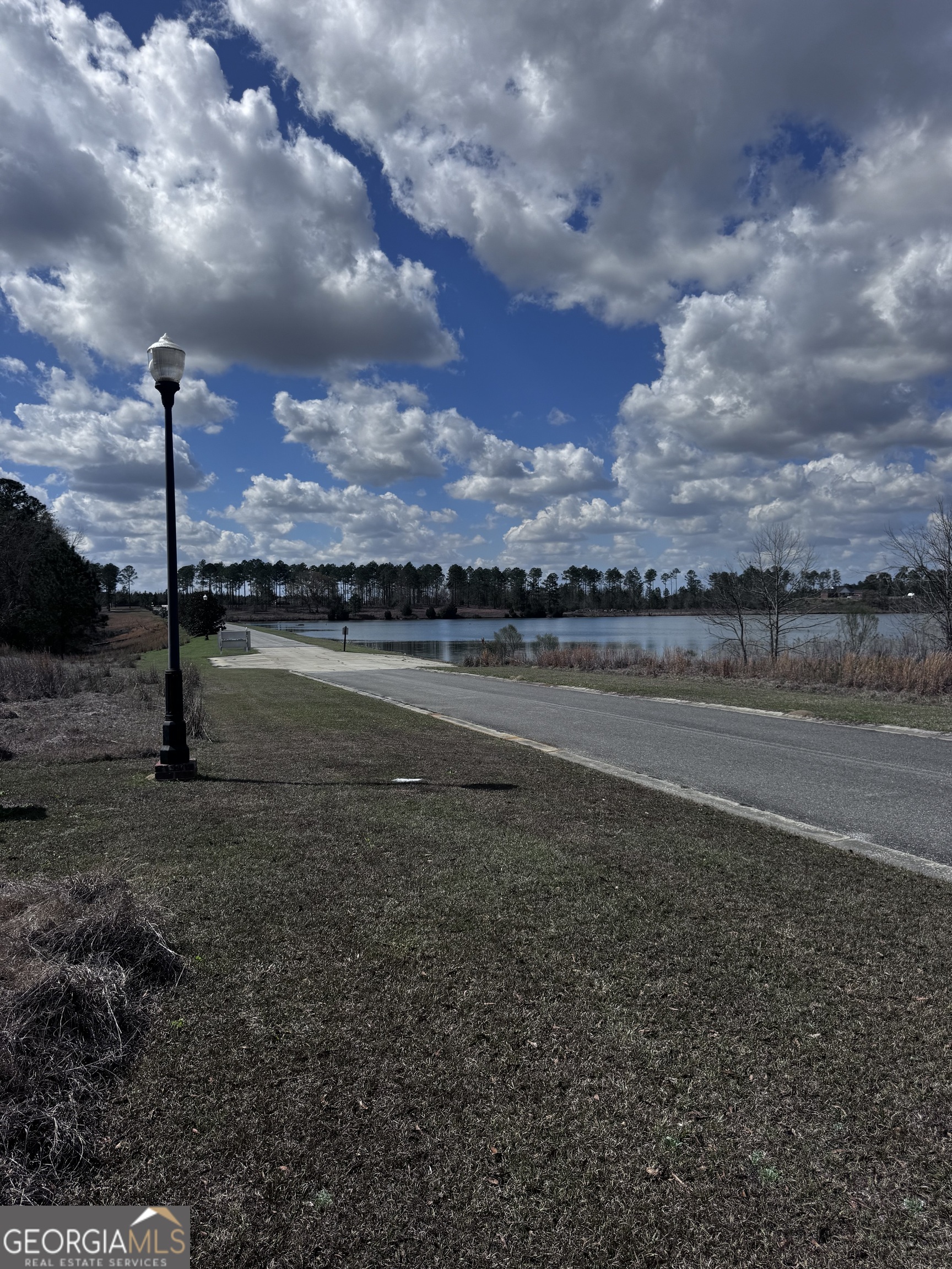 Lot 2 Thompsons Level Road Lyons, GA 30436 - Photo 2 of 7