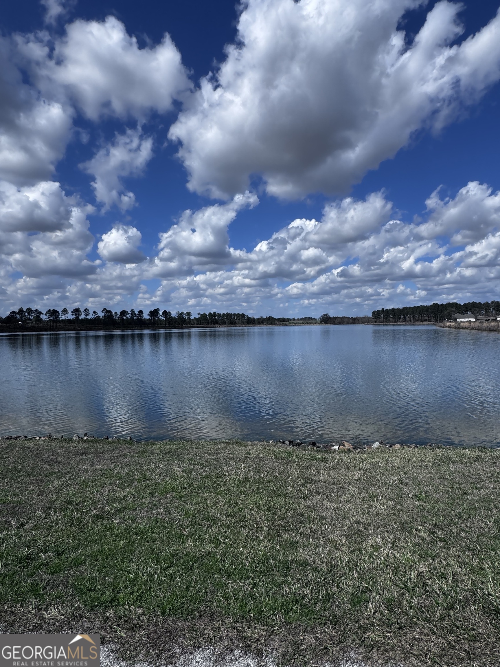 Lot 2 Thompsons Level Road Lyons, GA 30436 - Photo 3 of 7