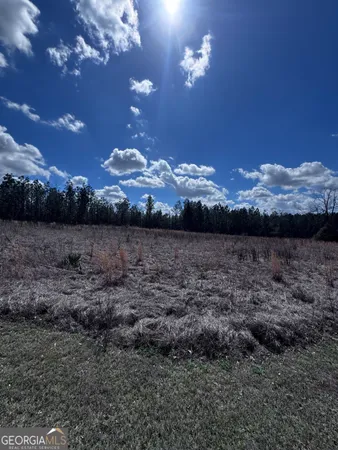 $39,500 | Lot 2 Thompsons Level Road, Lyons, GA 30436