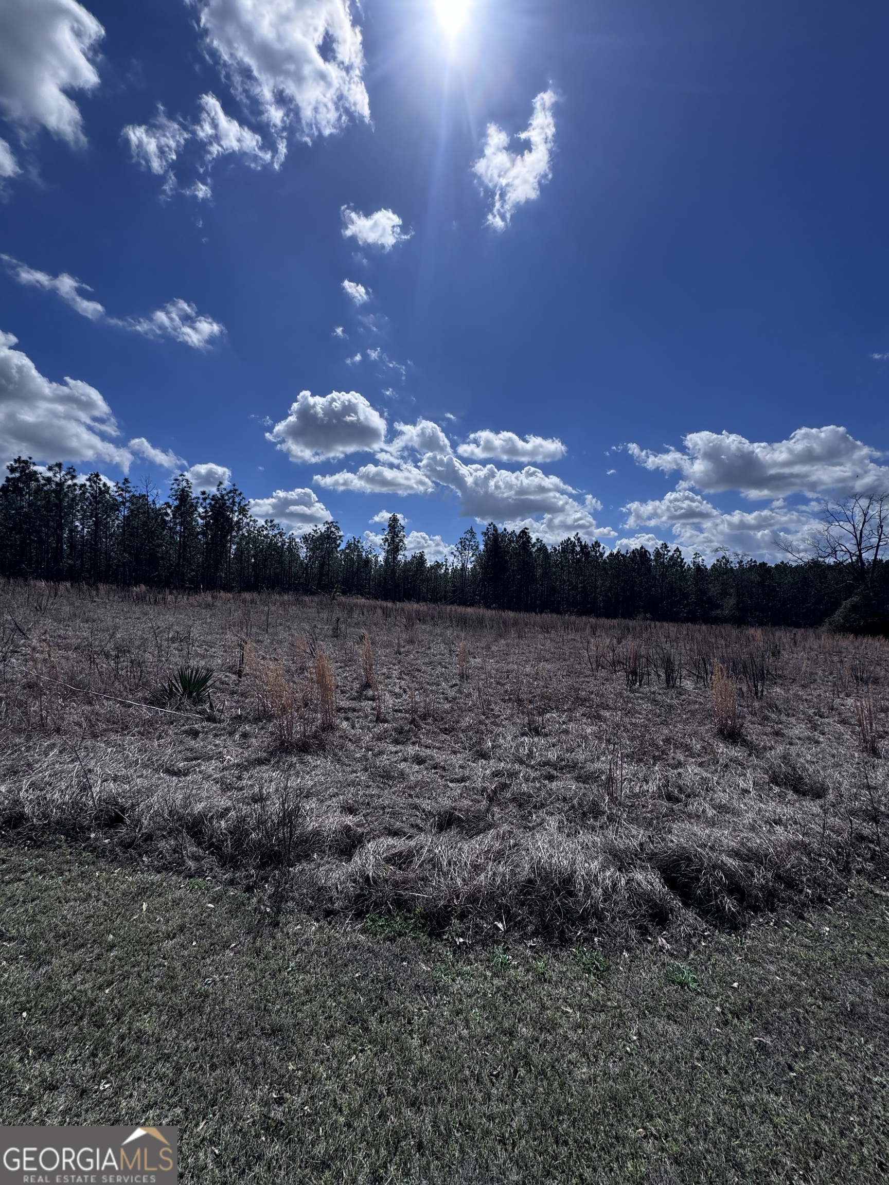 Lot 2 Thompsons Level Road Lyons, GA 30436 - Photo 4 of 7