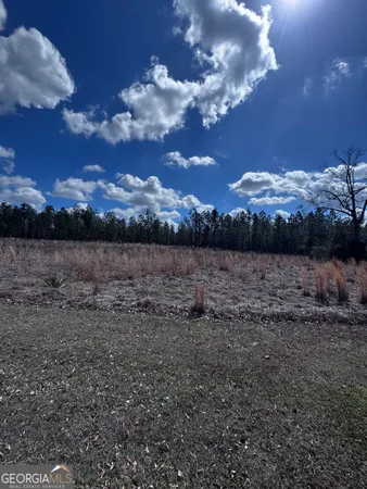 $39,500 | Lot 2 Thompsons Level Road, Lyons, GA 30436