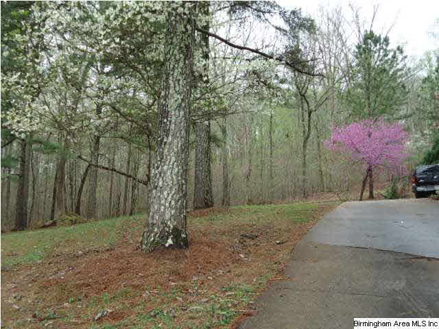 270 Lisa Lane Springville, AL 35146 - Photo 29 of 29