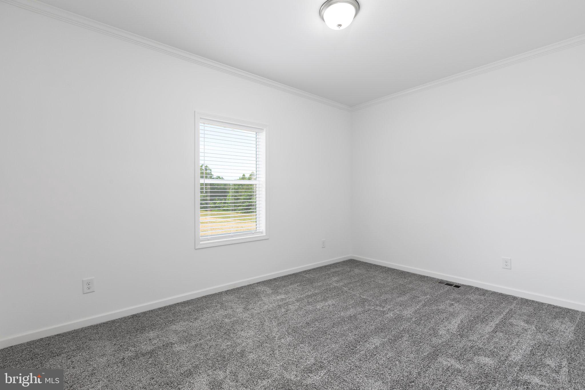 931 Levi Road Green Bay, VA 23942 - Photo 20 of 48