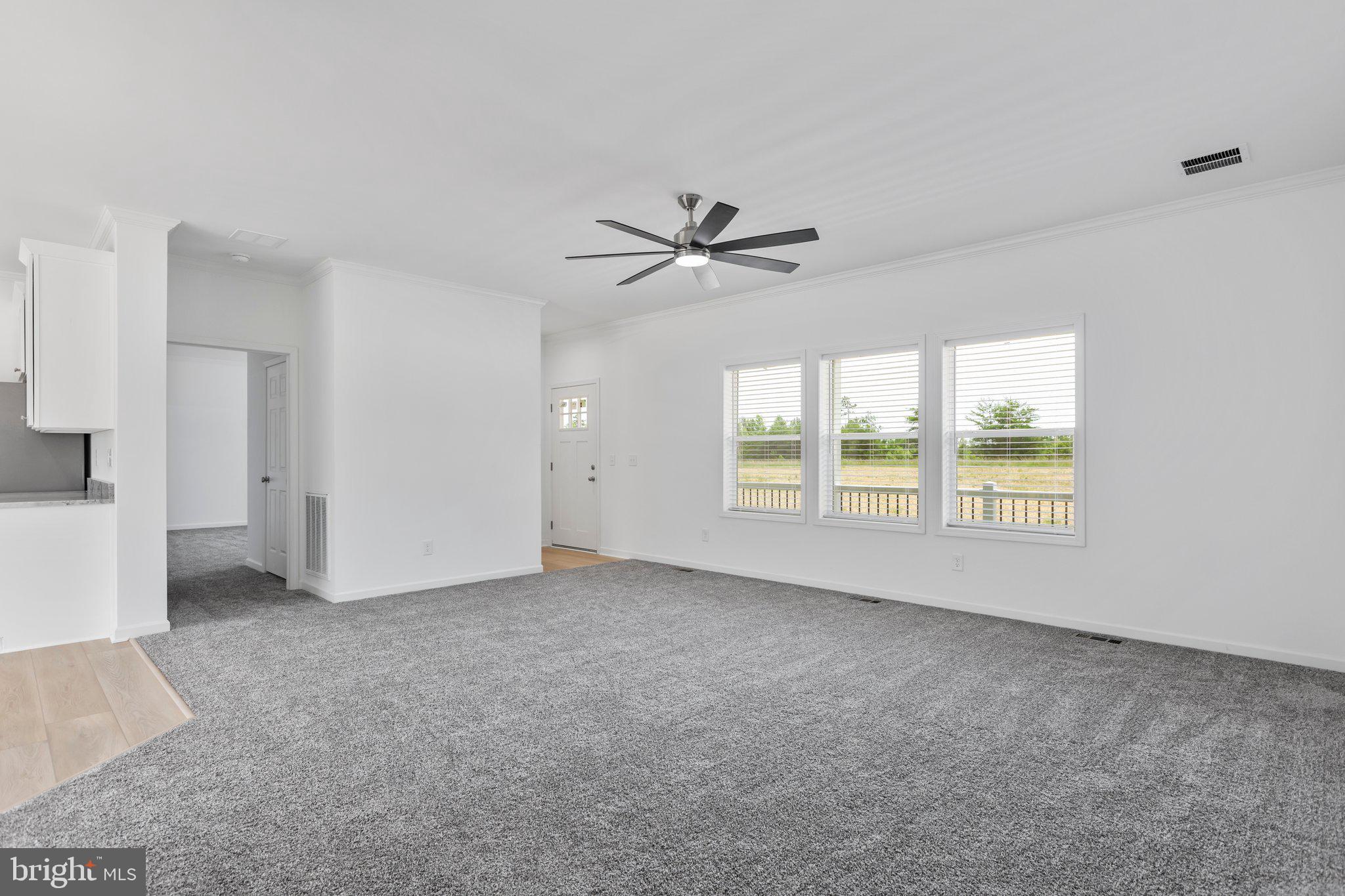 931 Levi Road Green Bay, VA 23942 - Photo 6 of 48