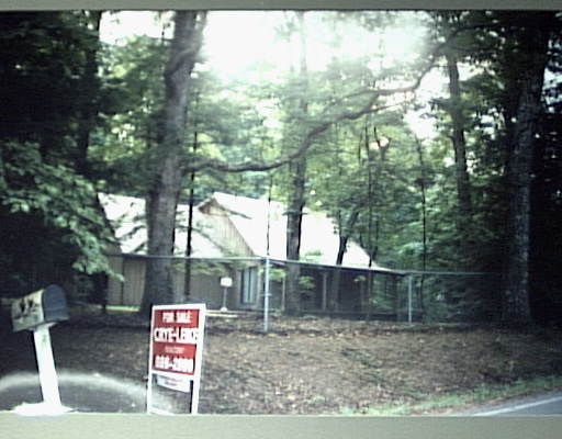 Primary Photo