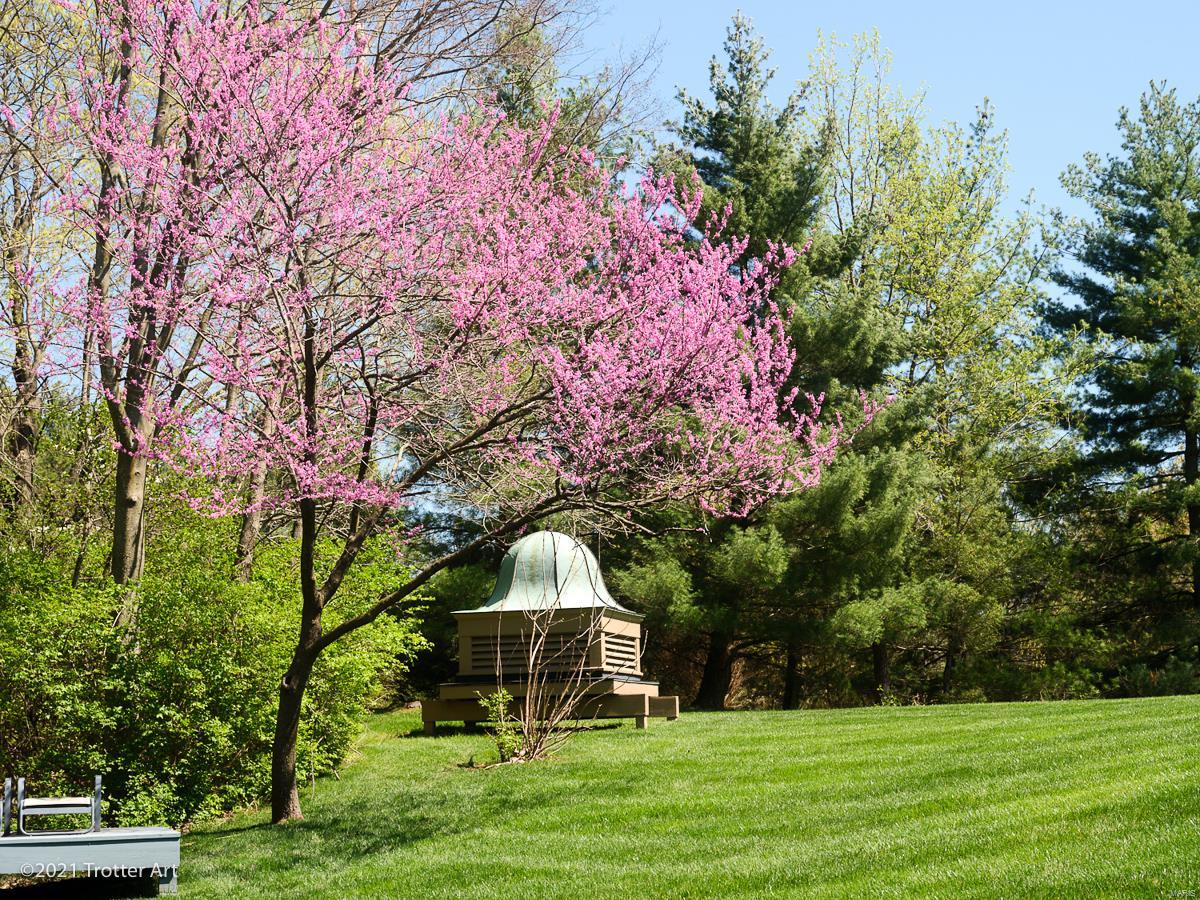 2 Chesterfield Lakes Road Chesterfield, MO 63005 - Photo 63 of 64 Gallery Image 63