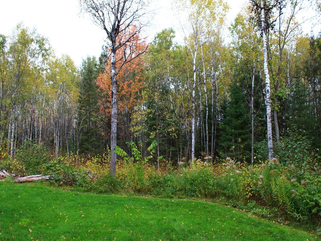3353 West Nathan Pass Mercer, WI 54547 - Photo 36 of 58 Gallery Image 36