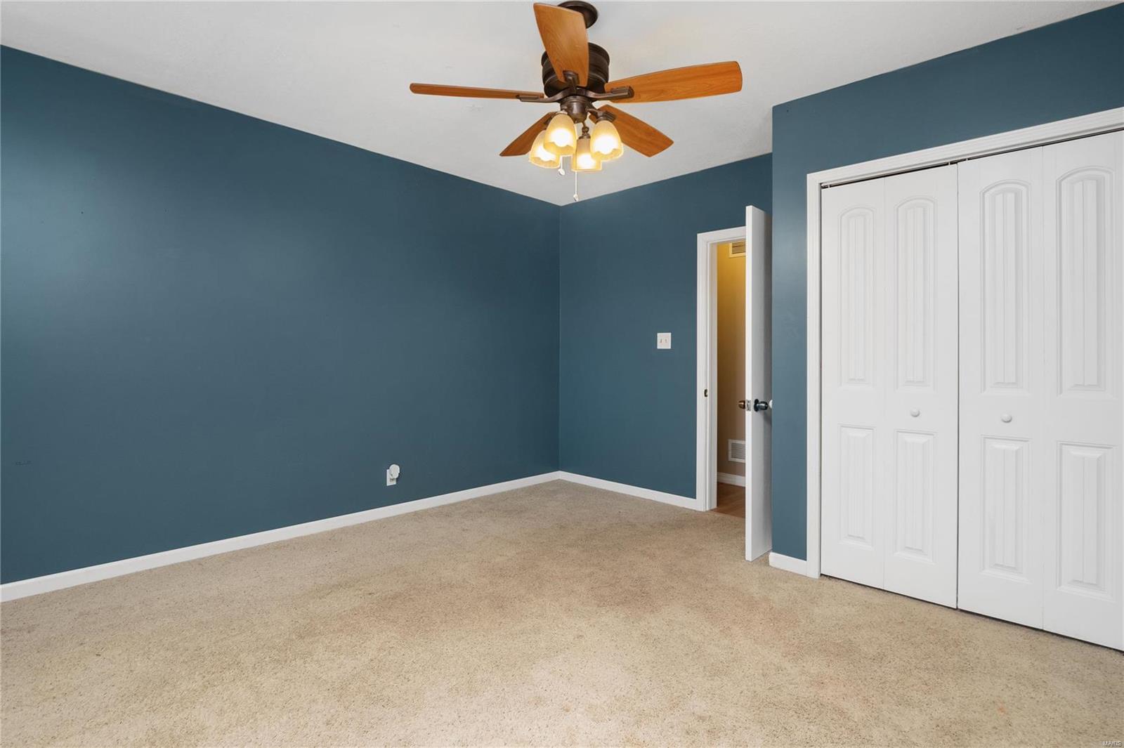 267 North Main Street Waterloo, IL 62298 - Photo 21 of 27 Gallery Image 21