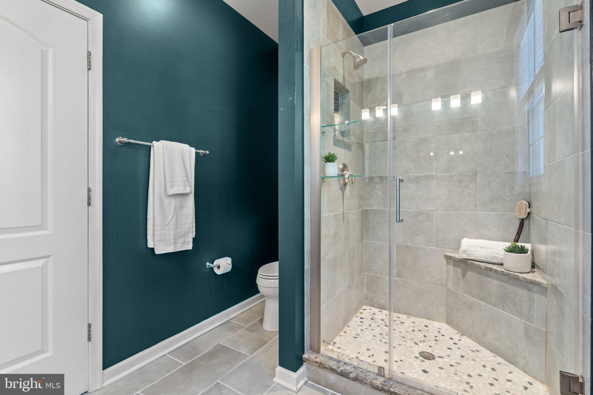 10384 Jamesons Mill Road Culpeper, VA 22701 - Photo 33 of 57 Frameless Shower Doors