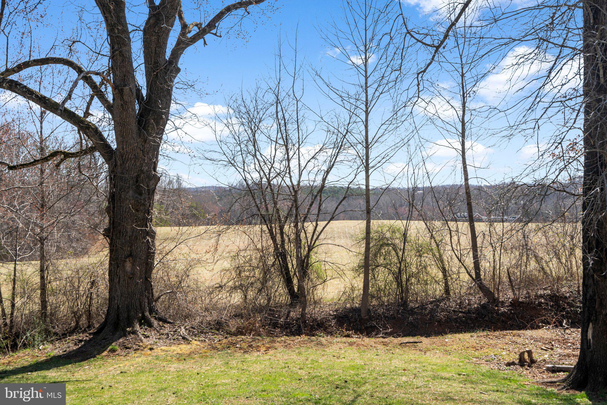 10384 Jamesons Mill Road Culpeper, VA 22701 - Photo 50 of 57 Gallery Image 50