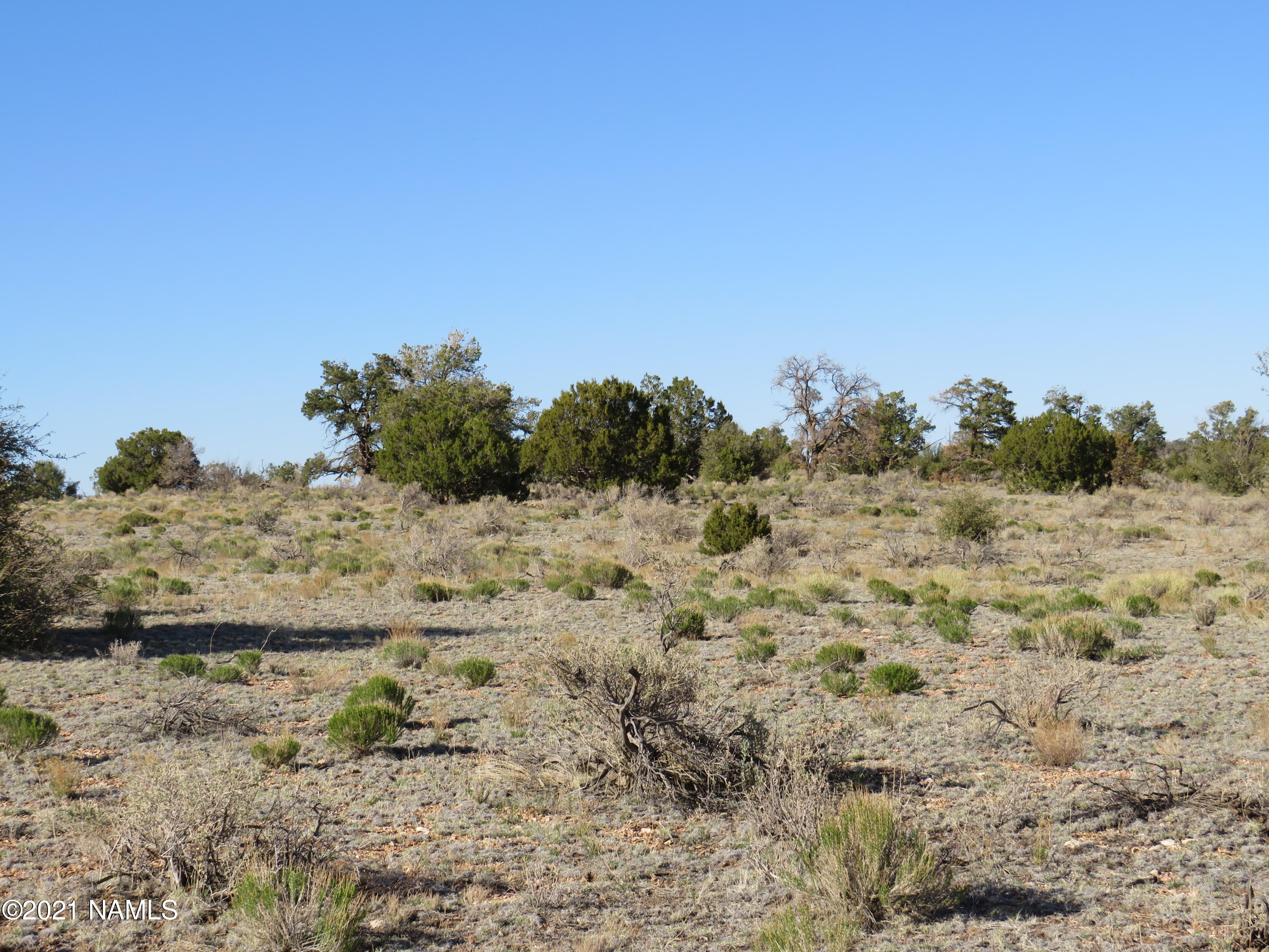 2150 Red Butte Road Williams, AZ 86046 - Photo 17 of 27 a view of mountain view with trees