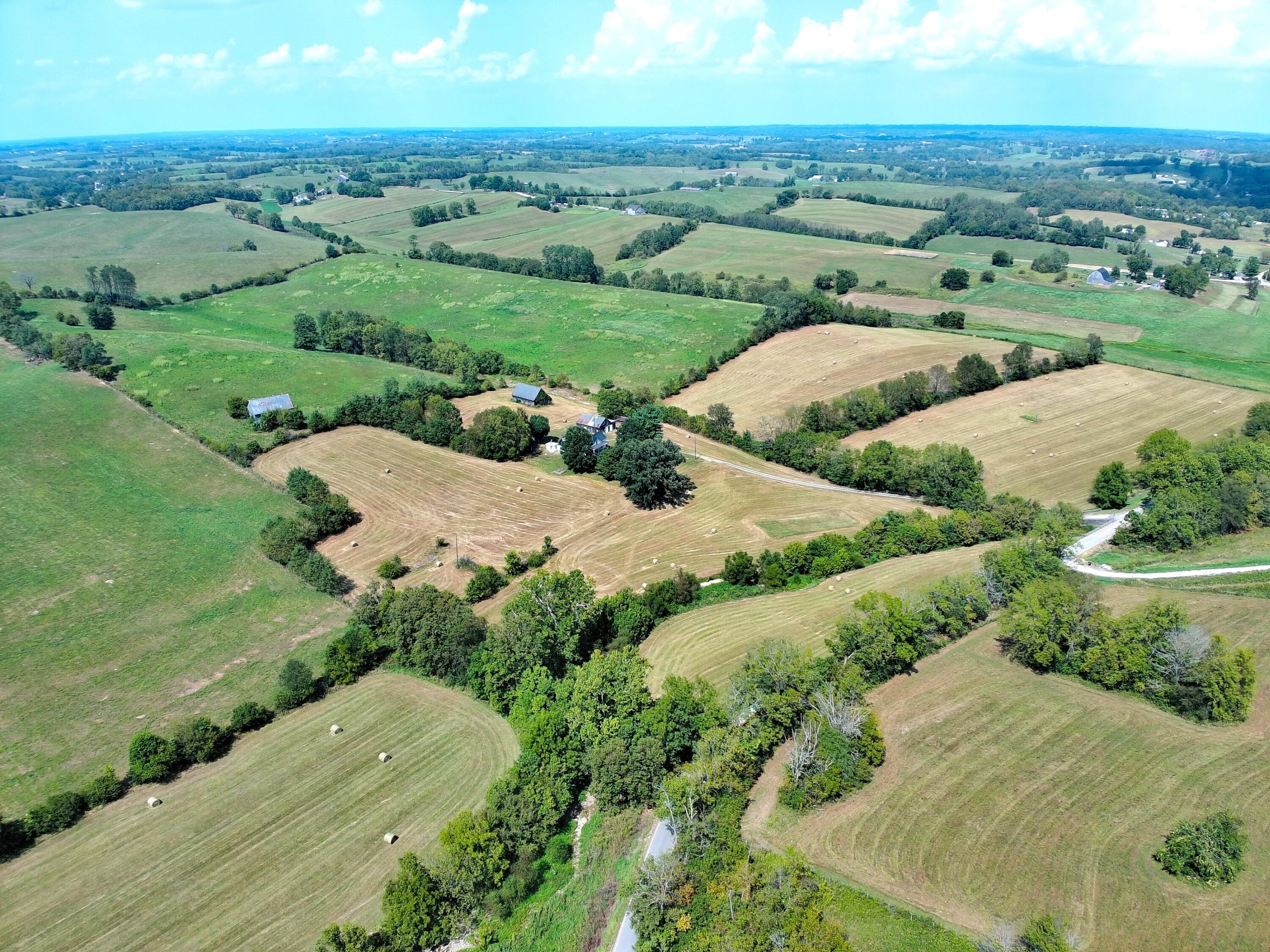 1363 Levy Road Paris, KY 40361 - Photo 2 of 35 MAX_0171