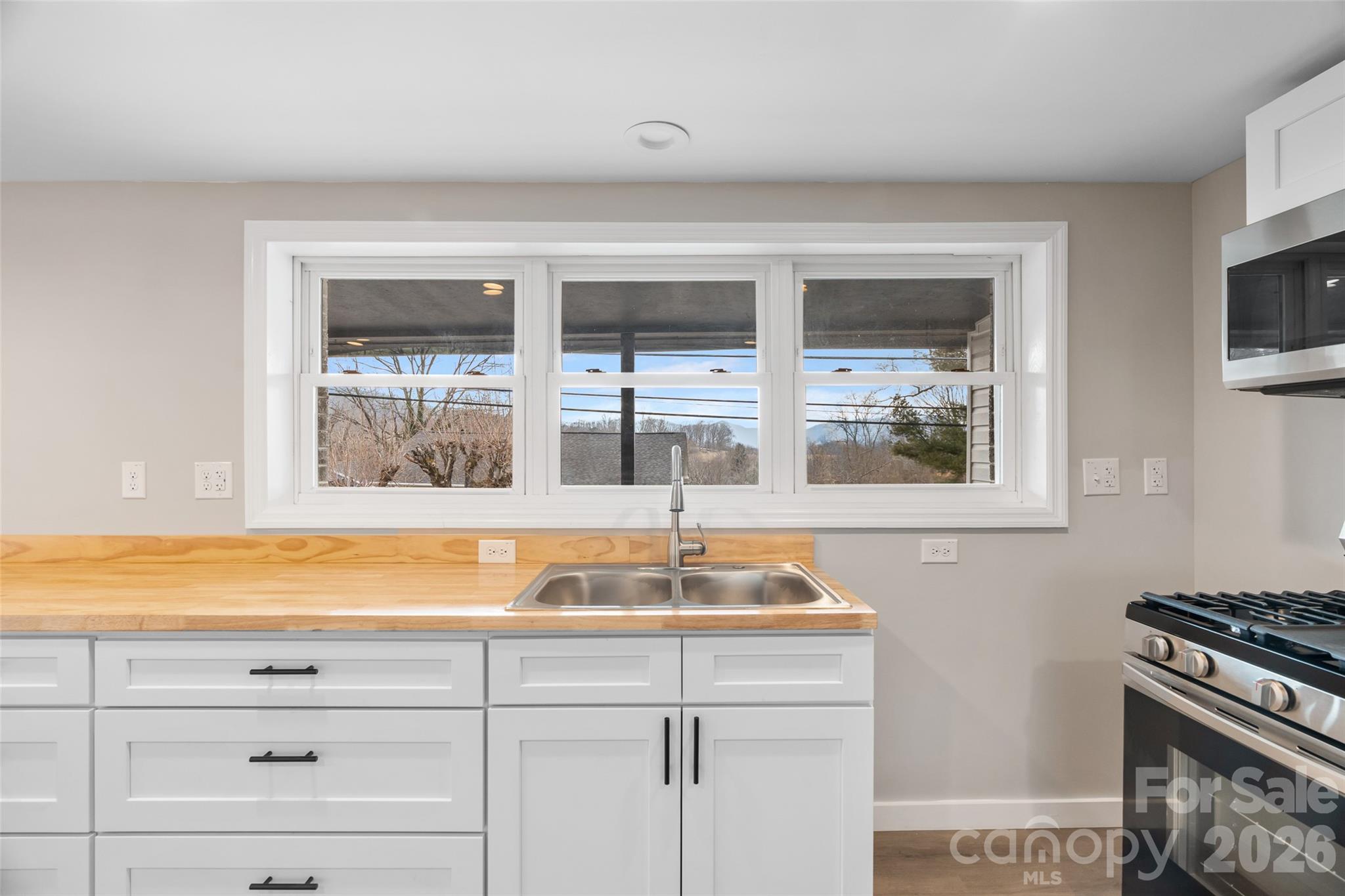 2383 Dutch Cove Road Canton, NC 28716 - Photo 7 of 48 Gallery Image 7