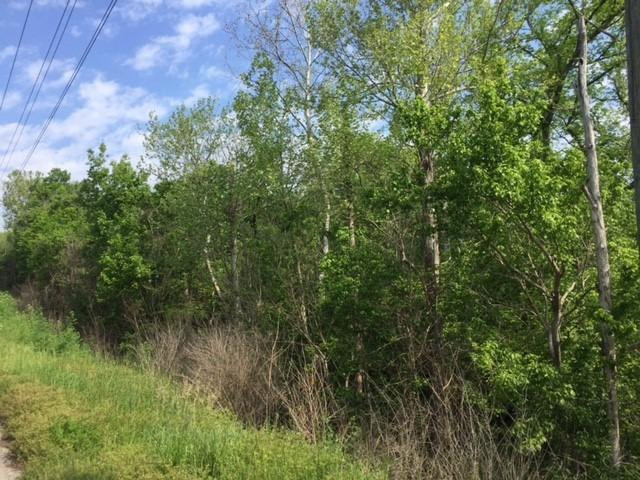 2164 Chrisman Mill Road Nicholasville, KY 40356 - Photo 14 of 18 Photo 14