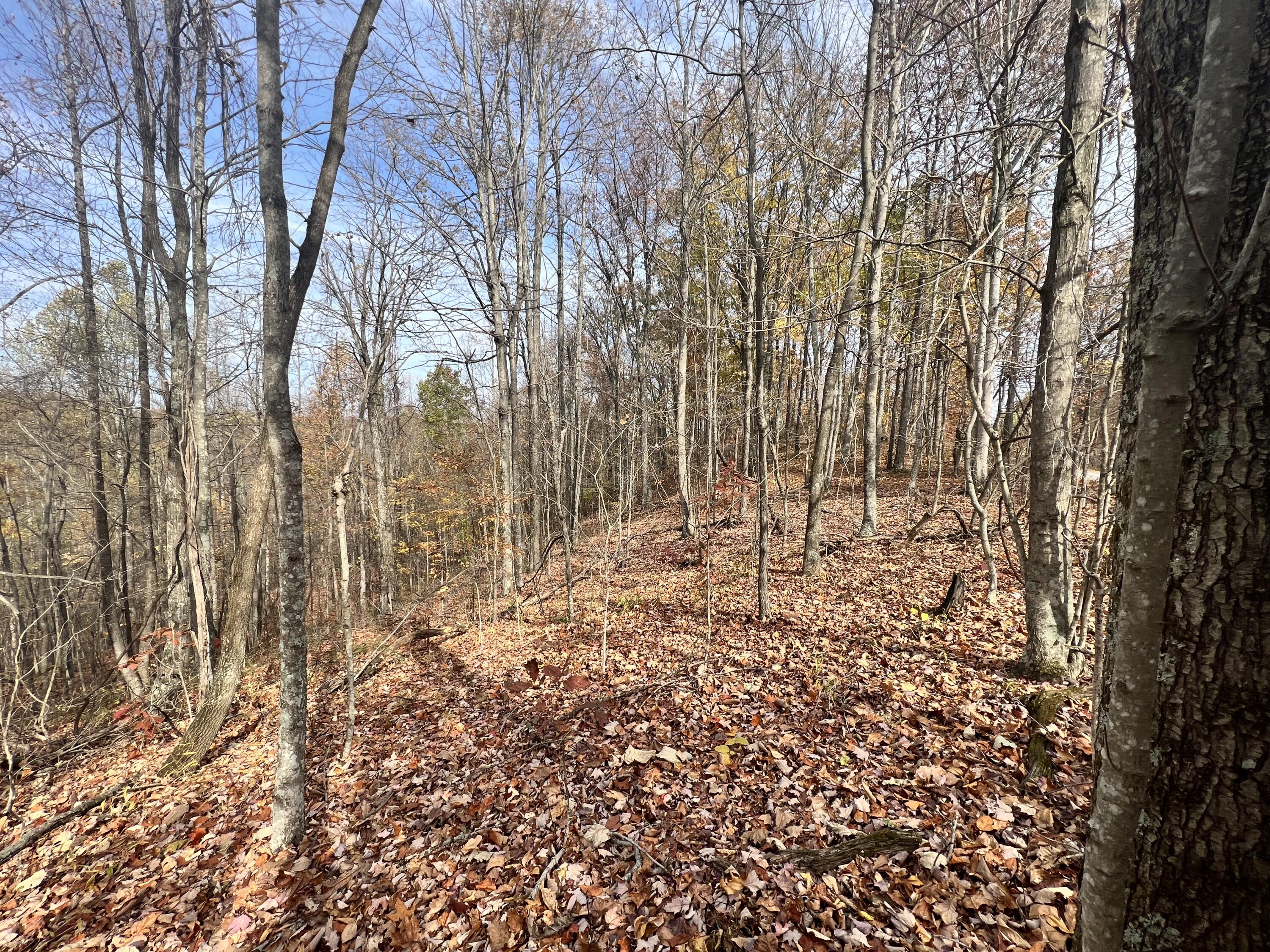9999 Bar Creek Road Oneida, KY 40972 - Photo 2 of 15 19CFE5C0-A7AF-468C-8881-FBC8B73D7545